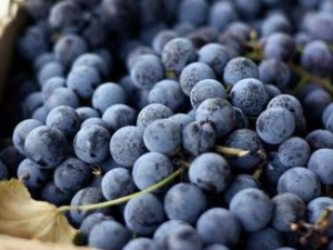 ���Բ�����ʲô�� ��ҽ������ε�������