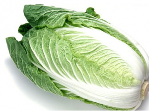 6���Ӽ�����С���� һ��ѧ������