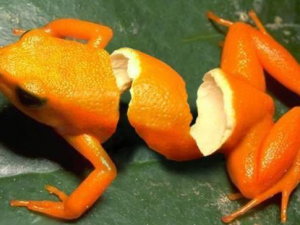 ʳ����������ЩҪע��� ���ʵ�����Ƥǧ����