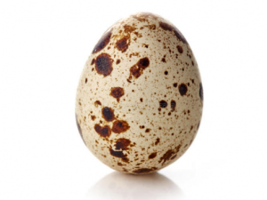 ���ȵ����ܺ���Щ����һ��� ���ȵ���ʳ�ý���