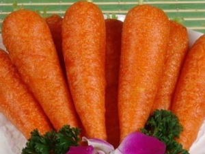 �ʺ������Ե��߲�����Щ ���������̲��������߲�