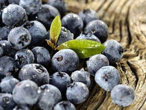 ����ˮ�����������Ч�� �������Ч��������