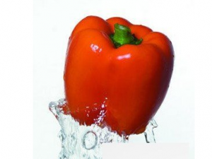 �ļ����������� ��ҽ�������������