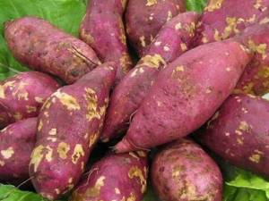 �����Ժ����ĺô� ���Ժ������в�������