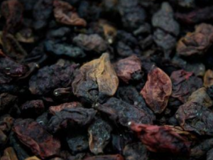 �Ҷ��ߵĹ�Ч���� �Ҷ����η�ʪ��ʹ