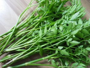 ��Ұ���ж���ô�� ��ЩҰ��Ҫ���ɳ�