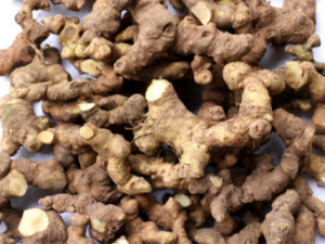 ��ݸ��Ĺ�Ч���� ��ݸ����첡��ͣ