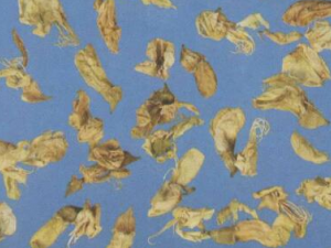 ����������� ��ҽ�������̵�ƫ������Щ