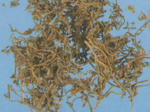 �첻ʳ�ݵ��β��鷽 �첻ʳ�����÷��α���