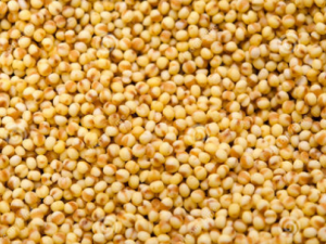 ��������Щ��Ч ��������©�Ѹ�