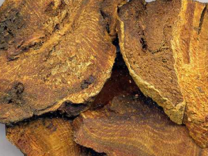 �������μ��Ծ��� ���Ծ��������������鷽