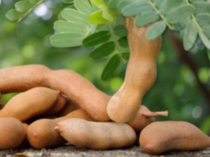 ��ǵĹ�Ч���� ��ǿ�Ԥ������