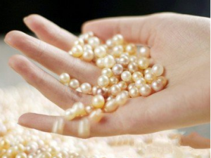 ����۵ķ��ý��� ���������Щ���ݹ�Ч