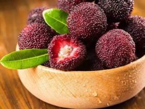 �����ˮ�������� �����ܳ�ˮ����