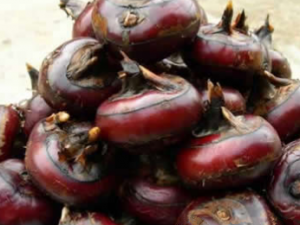 ����������ʳҪע����Щ���� ��Щˮ�����˻�����