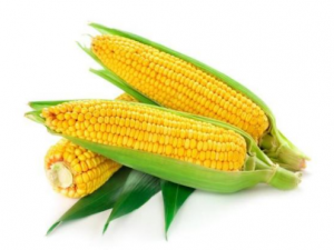 ���״���ʳ���˼� ������ô�Ը�Ӫ����