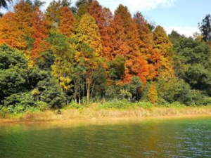 ˮ������Щ��Ч ˮ�ɿ���Ϫ��