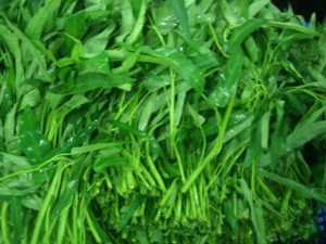 ˮʪ��Ҷ������Щ��Ч ˮʪ��Ҷ�����ʺ�����