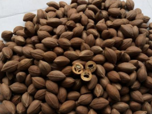 ���ɢ����Щ��Ч ���ɢ���ζ�������֢