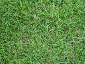 ˫�ɼ��Ĺ�Ч���� ˫�ɼ��η�ʪ�����ʹ