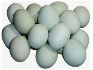 Ѽ���Ĺ�Ч������ Ѽ���Ľ�����Ⱥ