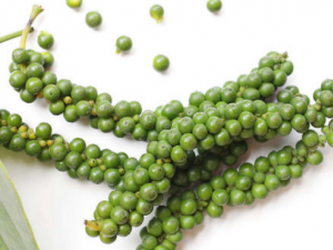 ��������Щ��Ч ������Ӫ����ֵ