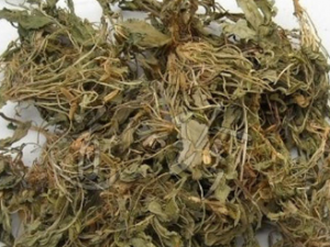 ˮ��������Щ��Ч ˮ�����ε�������