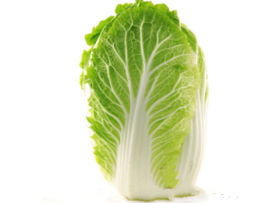 ҹײ˲ܳ Դײ˵ĽһҪ֪