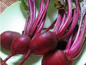 Ƣ����˲��ܳ�ʲô Ƣ�����ʳ����