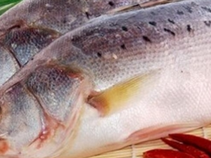 ������ʲô��� ��������ɰ����Բ�����