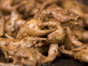 ȸ��Ĺ�Ч ȸ�����²�׳��������