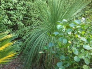 ��ͷ������Щ��Ч ��ͷ���ι��۷ν��