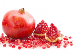 �׵������Ƶ�ʳ������� �Ͻ���������