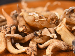 ���Ʋ�����Щ��Ч ���Ʋ��ξ�кʧѪ