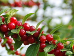 ������ӣ��Ҫע����Щ���� ������ӣ�ҵĽ���