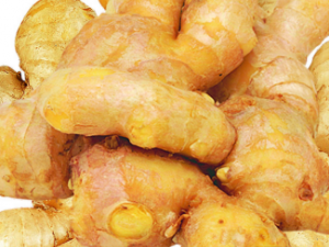 ������ʱ����ЩҪע��� �������ļ�������