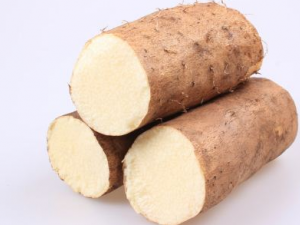 �β�����ʳҩ�� �＾Ӧ�����������