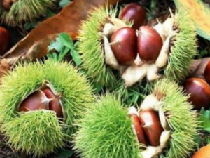 ʯ���ӵĹ�Ч���� ʯ����ͨ���ξ���