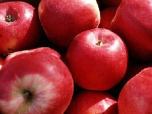 �Դ�ƻ���������Σ�� С��������ƻ����ʳ�ý���