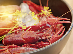 ������ҩʱ��Щʳ�ﲻ�ܳ� ������ҩʱ��ʳ�����