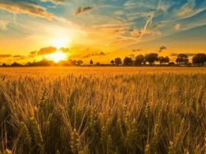 ��ʵ����Щ��Ч ��ʵ������������