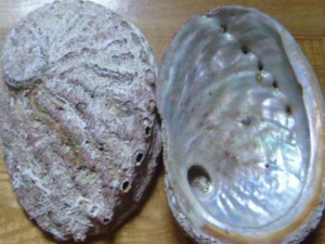 ������ж����Ӧ�� ��α���Ժ����ж�