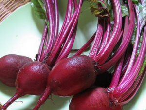 ����ð��ܲ������� ʳ�ð��ܲ�����������