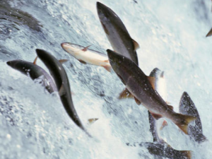 �����ͷ�ж����� ��Щ�����ͷҪ�ٳ�