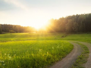 ��������ʳ�Ʒ��Ƽ� ����������ʳ�Ƽ�