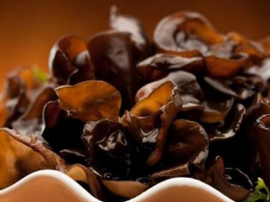 ľ����δ����Ӫ�� ľ�����ܺ�ʲôһ���