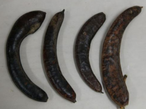 �������Ĺ�Ч���� ��������ʳ�������