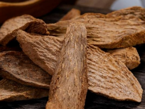 ����׳������ҩ����Щ ���Բ���׳�����Գ���Щ