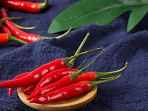 ��������ʳ���� �����ڲ��ܳ�ʲô