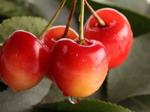 ����߲��ܳ�����ˮ�� ����ߵ�ԭ��